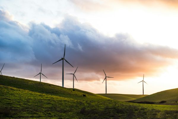 Découvrez la photo écologie à travers une démarche durable